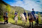 Unique riding tour in the mountains surrounding Bergen city centre