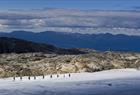 Guided glacier hiking