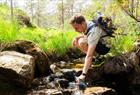Fjord cruise & guided mountain hike to "Slottet"