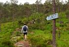 Fjord cruise & guided mountain hike to "Slottet"