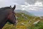 Unique riding tour in the mountains surrounding Bergen city centre