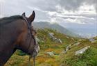 Unique riding tour in the mountains surrounding Bergen city centre