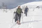 Guided Trolltunga hike with Trolltunga Active