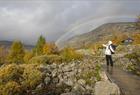 Guided Trolltunga hike with Trolltunga Active