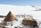 Folgefonna Husky Camp
