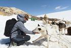 Folgefonna Husky Camp