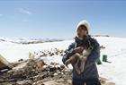 Folgefonna Husky Camp