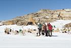 Folgefonna Husky Camp