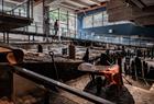 The exhibition Below ground at Bryggens Museum