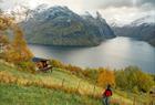 The fjords