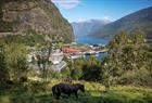 View of Flam from above