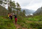 Fjord cruise & guided mountain hike to "Slottet"