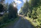 1,5 Stunden Wanderung auf einem Schotterweg bis zum Beginn des eigentlichen Königinnenpfades