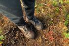 Bergwanderschuhe werden empfohlen!