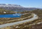 The road crossing the Hardangervidda Mountain Plateau