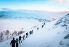 Guided snowshoeeing hike in the Hardangerfjord mountains