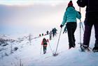 Guided snowshoeeing hike in the Hardangerfjord mountains