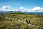 Voss Resort ist ein idealer Ausgangspunkt für Wanderungen in den Bergen