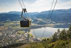 The Voss Gondola