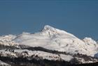 Guided snowshoeeing hike