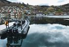 Fjord safari on the Hardangerfjord