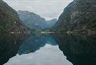 Fjord safari on the Hardangerfjord