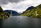 Fjord safari on the Hardangerfjord