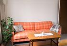Living room with sofa bed