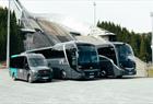 Große Auswahl an Bussen