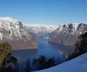 Durchblättern nach Die beste Zeit für einen Fjordausflug in Norwegen