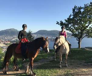 Explore the beautiful nature around Bergen from the horseback.