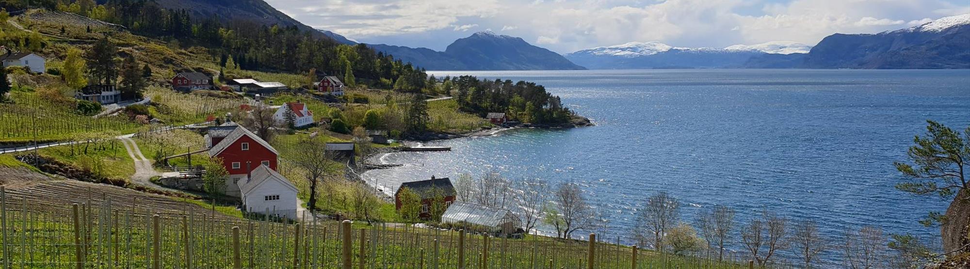 The "champagne" of apple cider comes from Hardanger