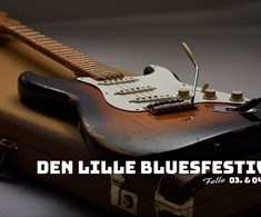 Den Lille Bluesfestivalen 2023