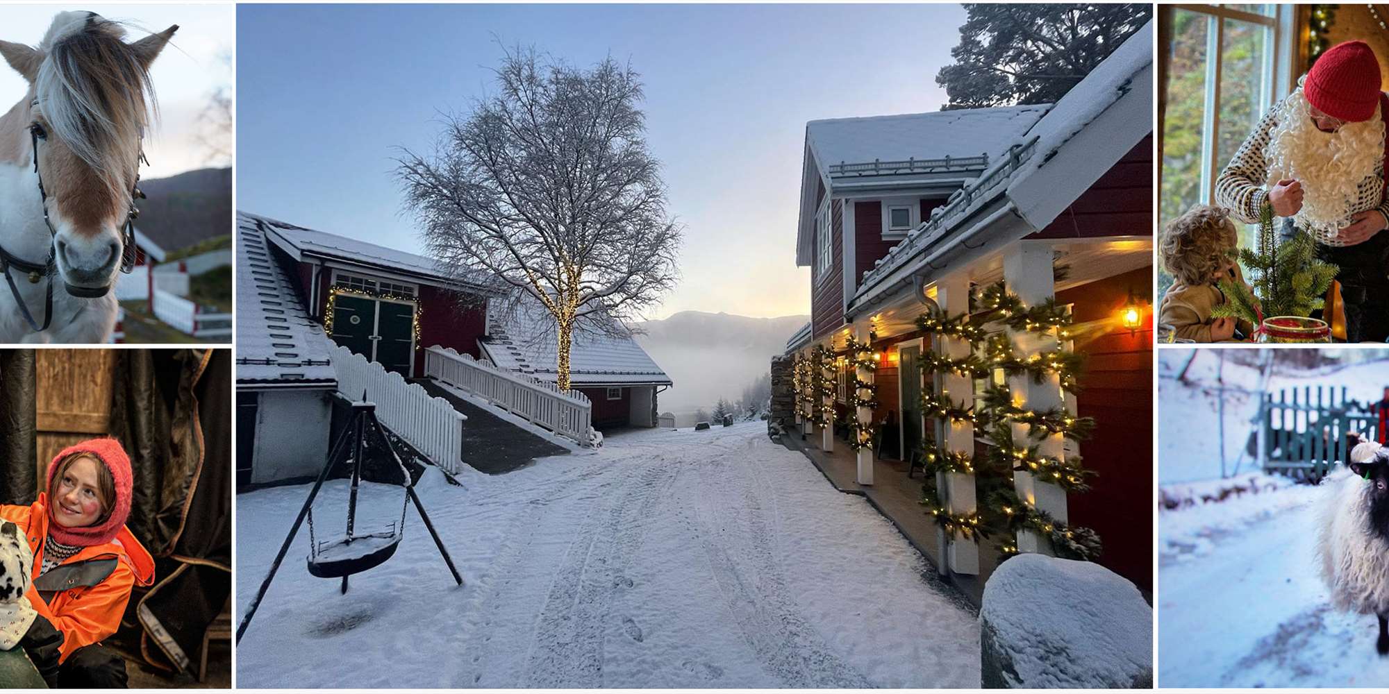 JULEGÅRDSBESØK JULEGÅRDSBESØK