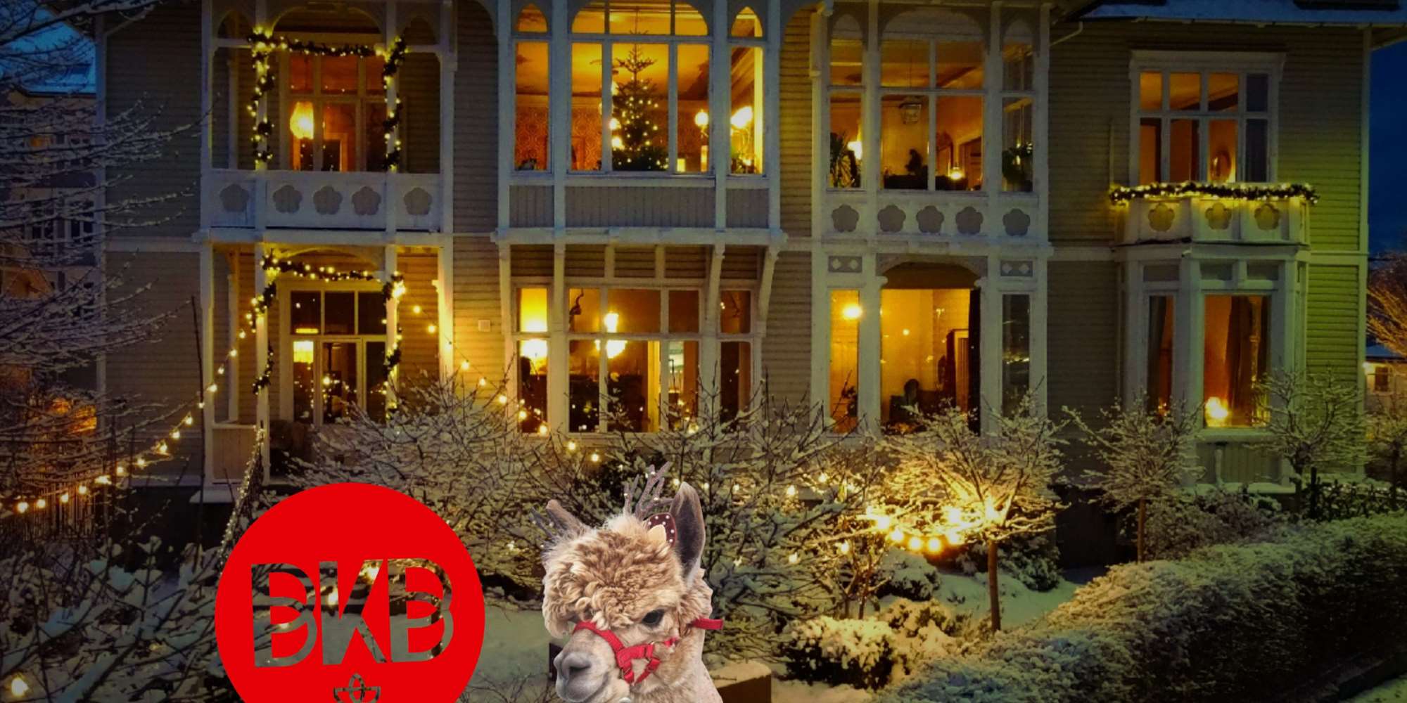 Product Image Product Image