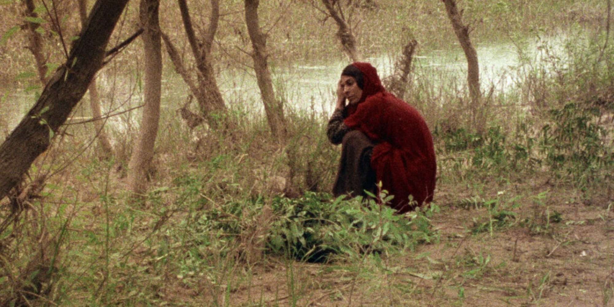 The Sealed Soil (1977) The Sealed Soil (1977)