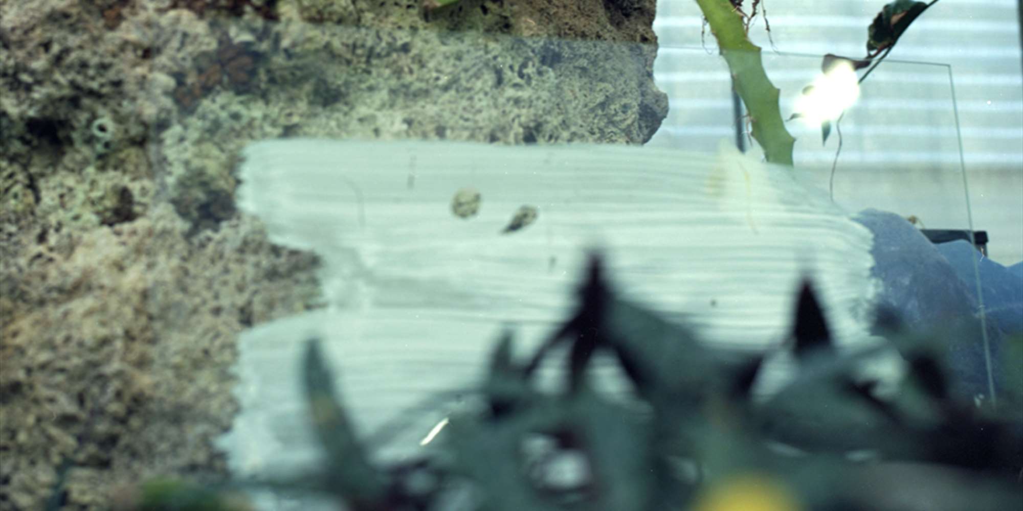 Vilde Salhus Røed & Klara Sofie Ludvigsen 'Til Lucia' Vilde Salhus Røed & Klara Sofie Ludvigsen 'Til Lucia'