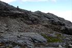 Mountain hike along the Bufærveg in Hardanger