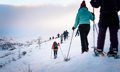 Guided snowshoeeing hike in the Hardangerfjord mountains