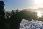 Horseriding in winter